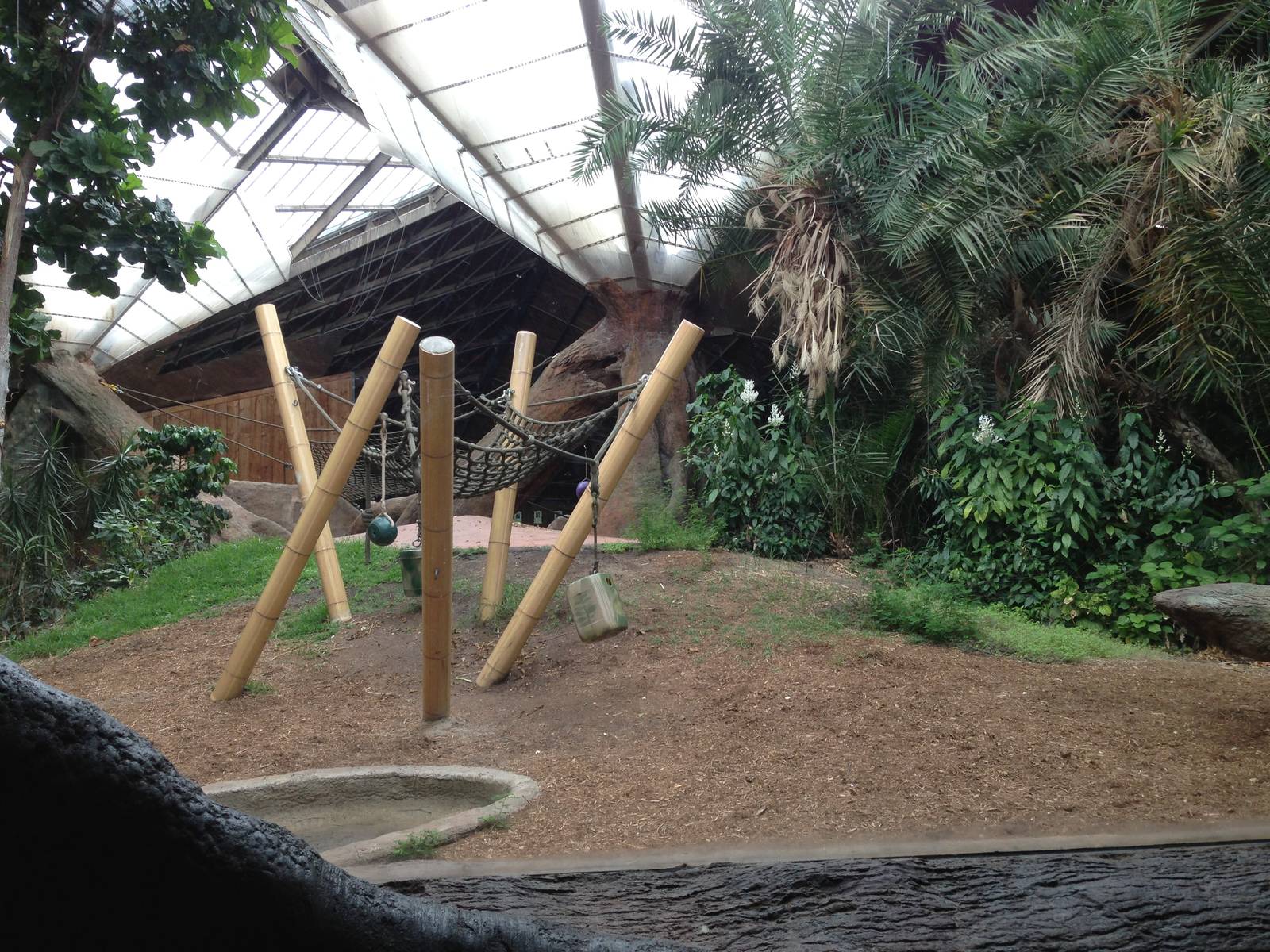Main Indoor Gorilla Exhibit
