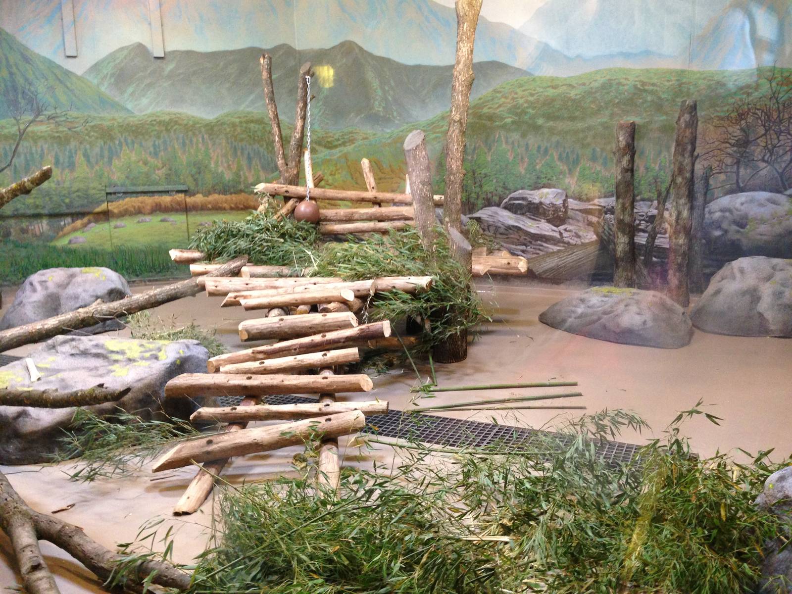 Main Indoor Panda Exhibit