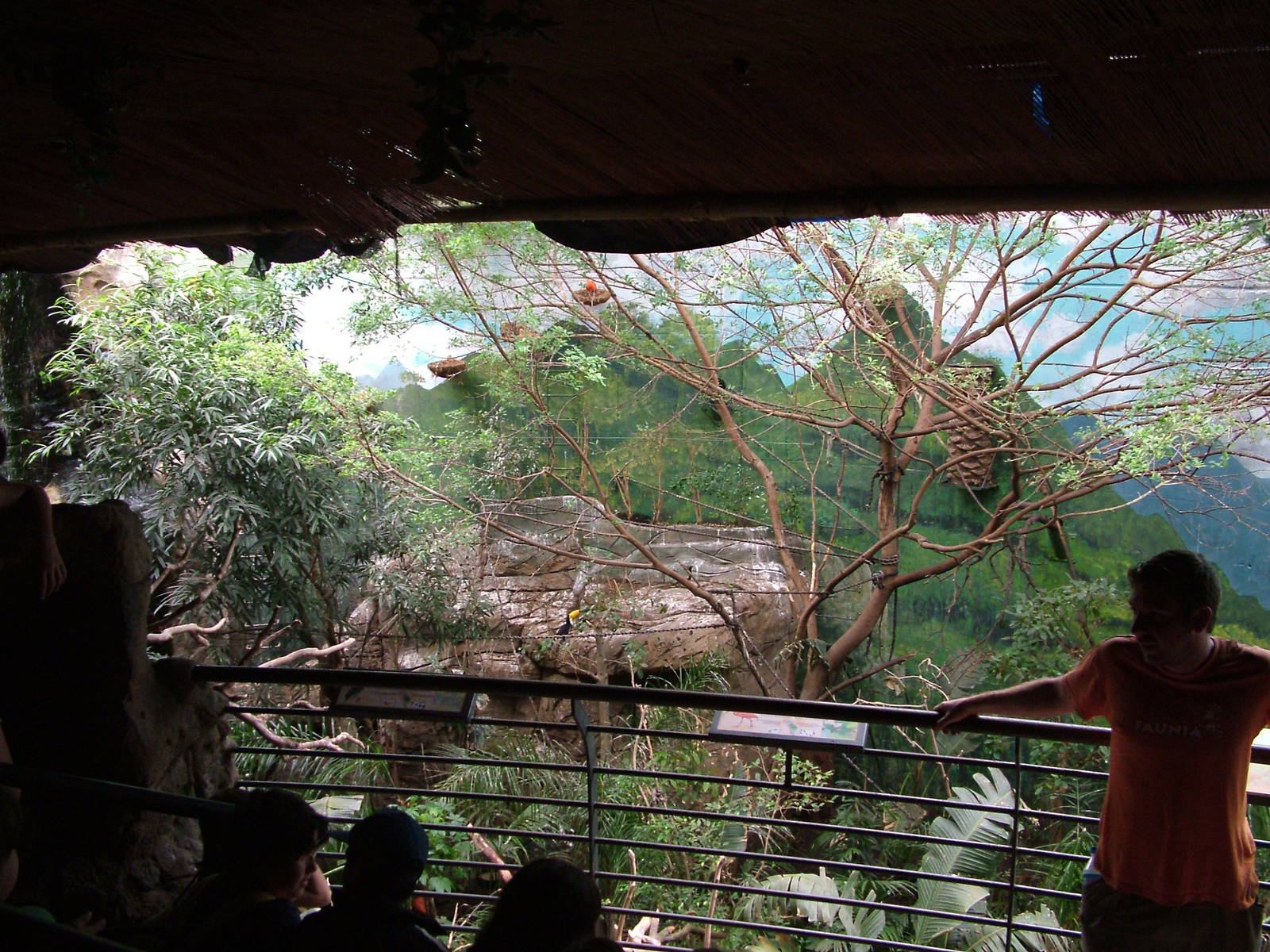 Main Jungle area at Faunia, 27/05/11