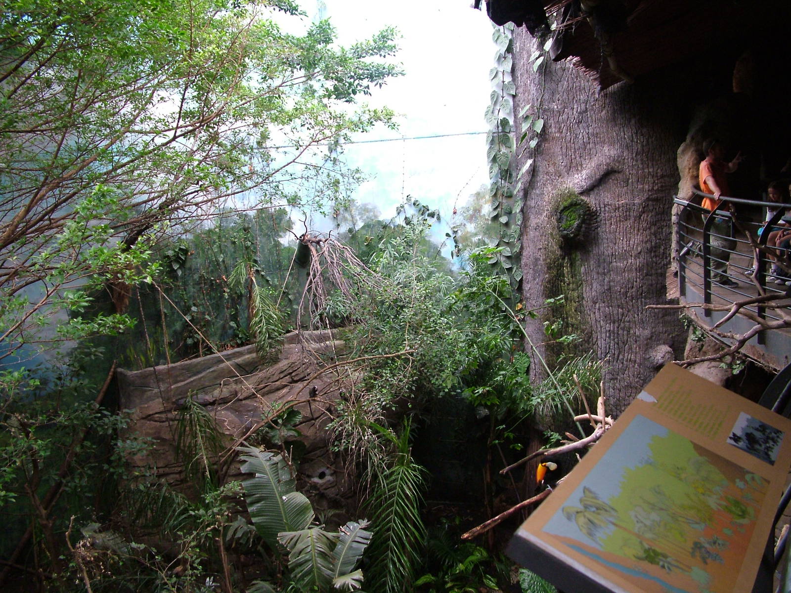 Main Jungle Area at Faunia, 27/05/11