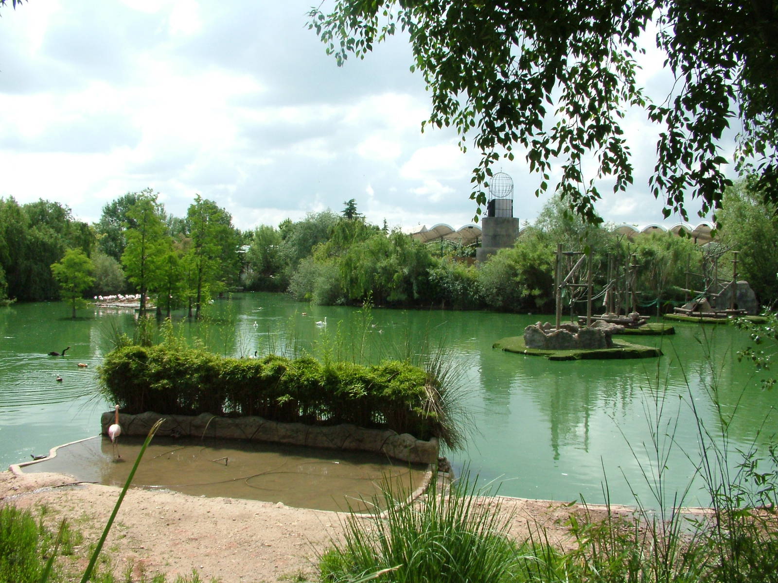 Main Lake at Faunia, 27/05/11