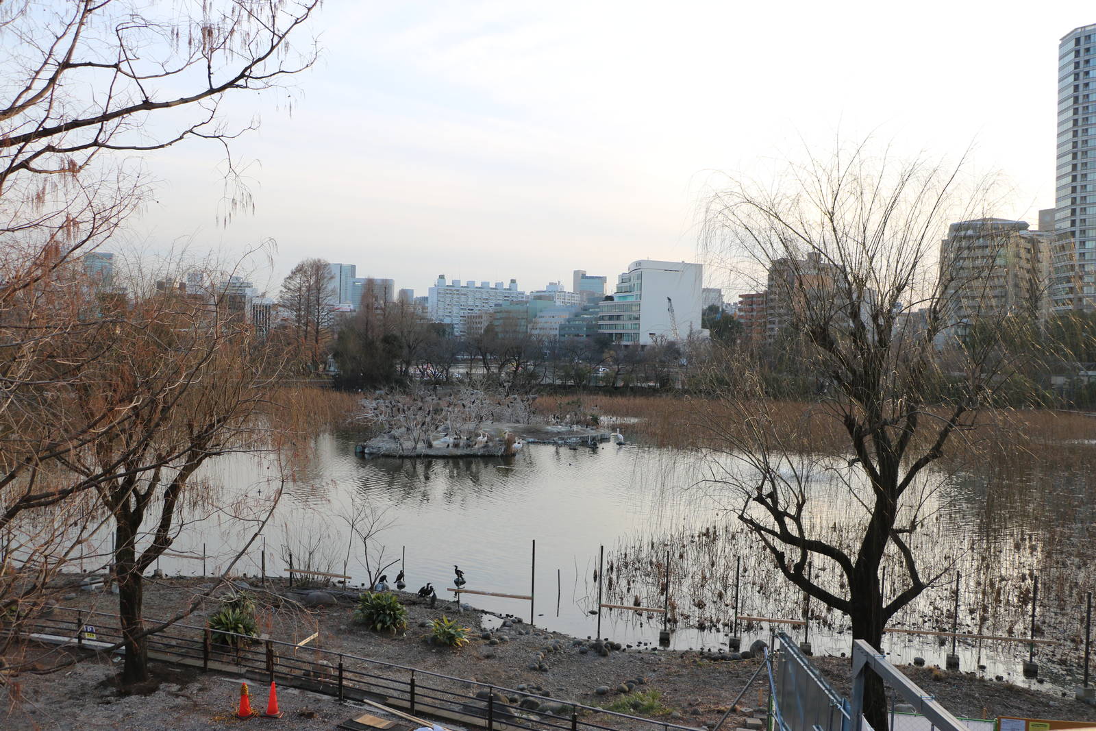 Main lake, February 2016