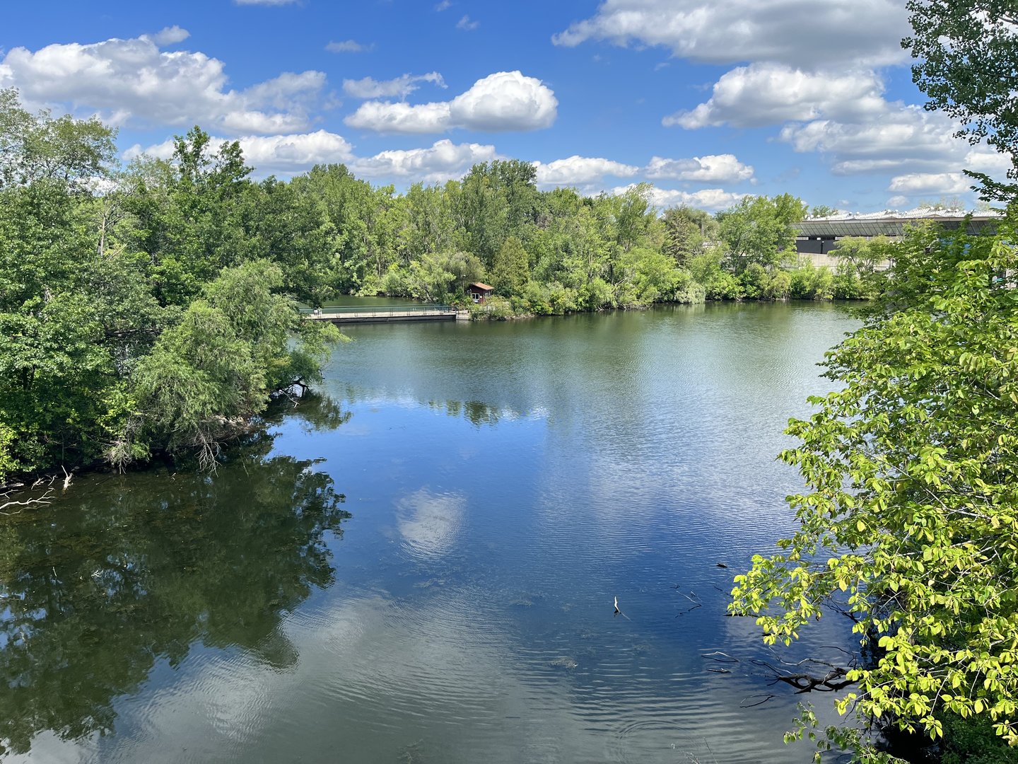 Main Lake from Treetop Trail