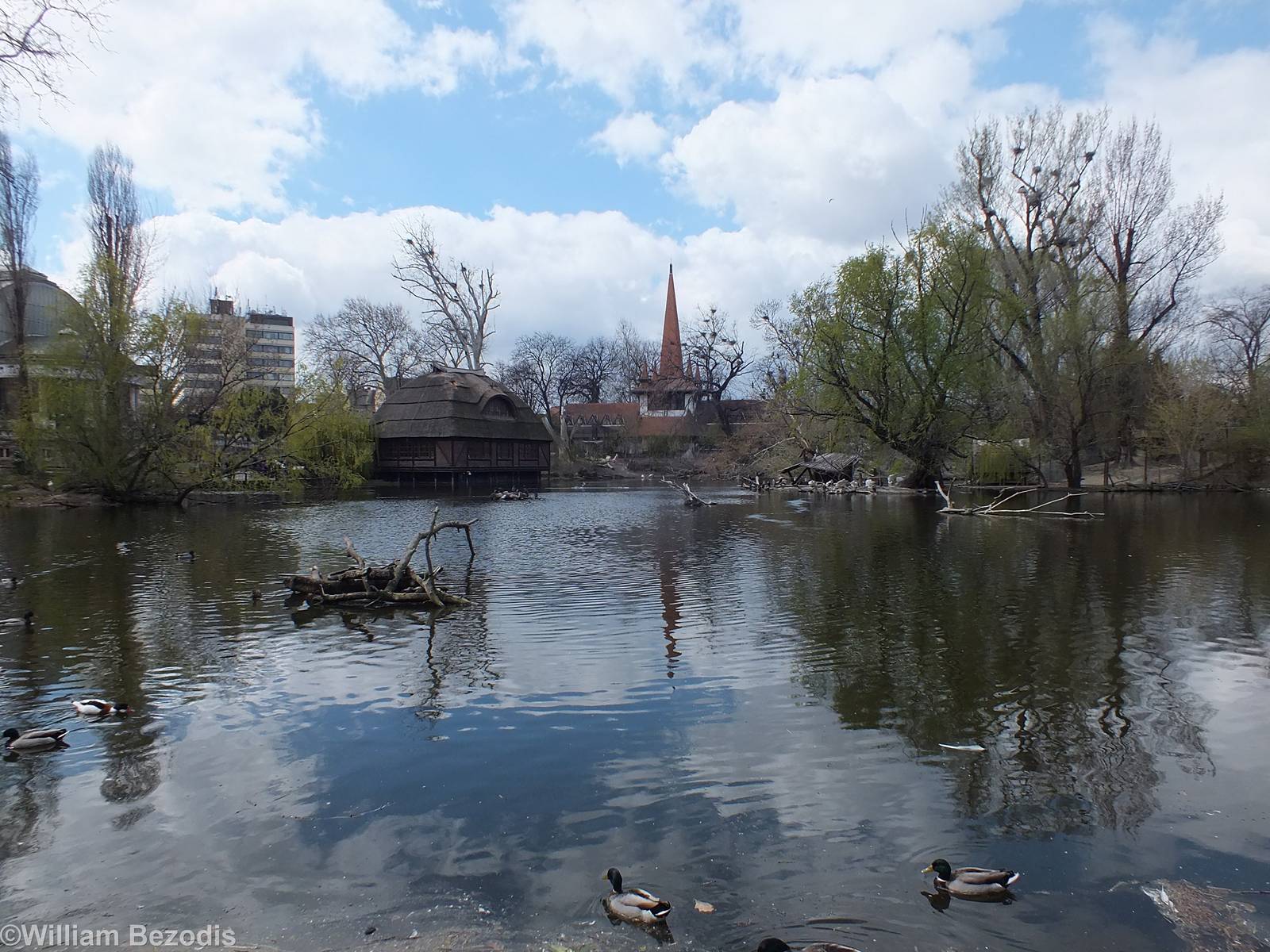 Main Lake in the Middle of the Zoo