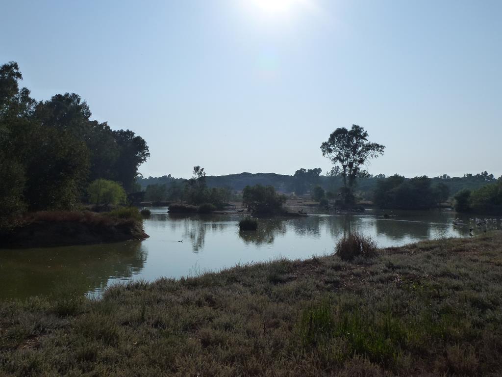 Main lake, July 2013.
