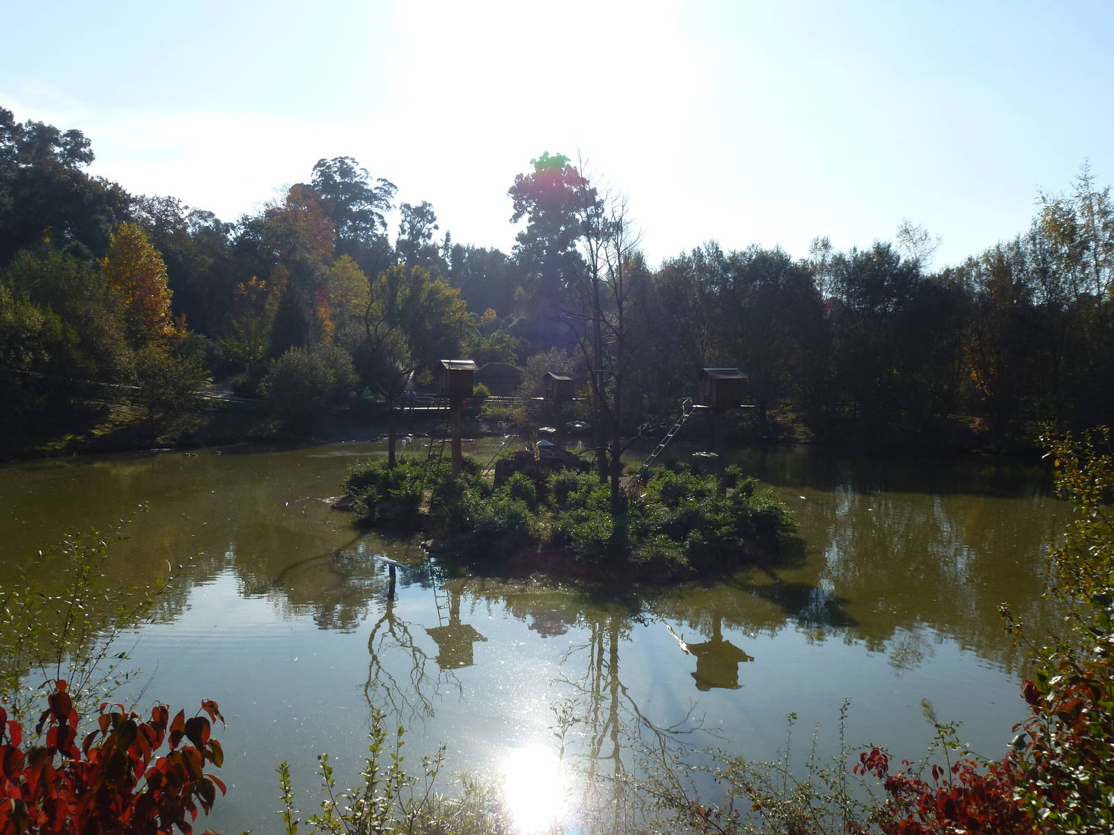 Main lake, November 2013.