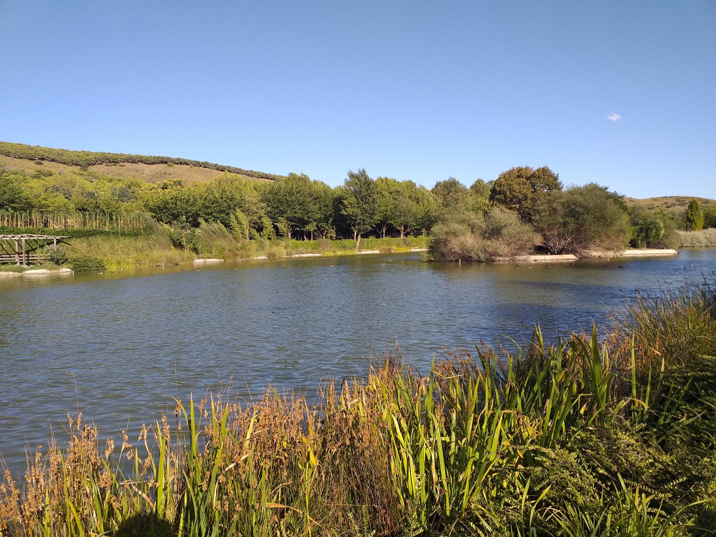 Main lake -Sendaviva (2020)