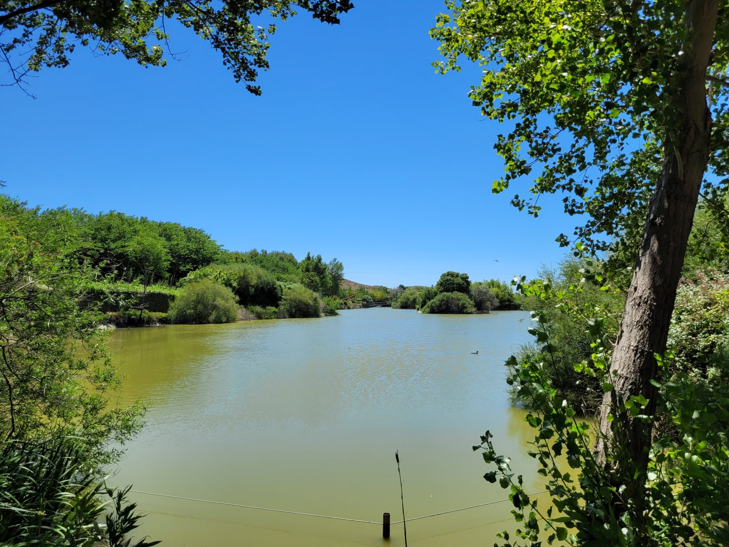 Main lake -Sendaviva (2024)