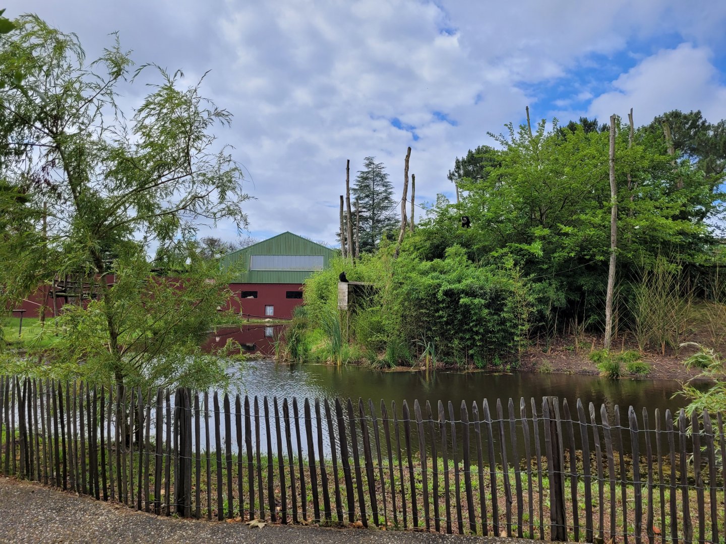 Main lake view -Zoo du bassin d'Arcachon (2024)