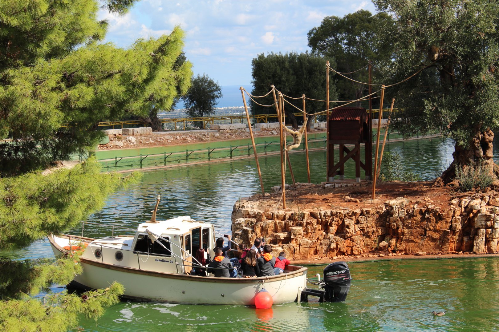 Main Lake with Lar Gibbon Islands (feeding from boat) - Oct 2019