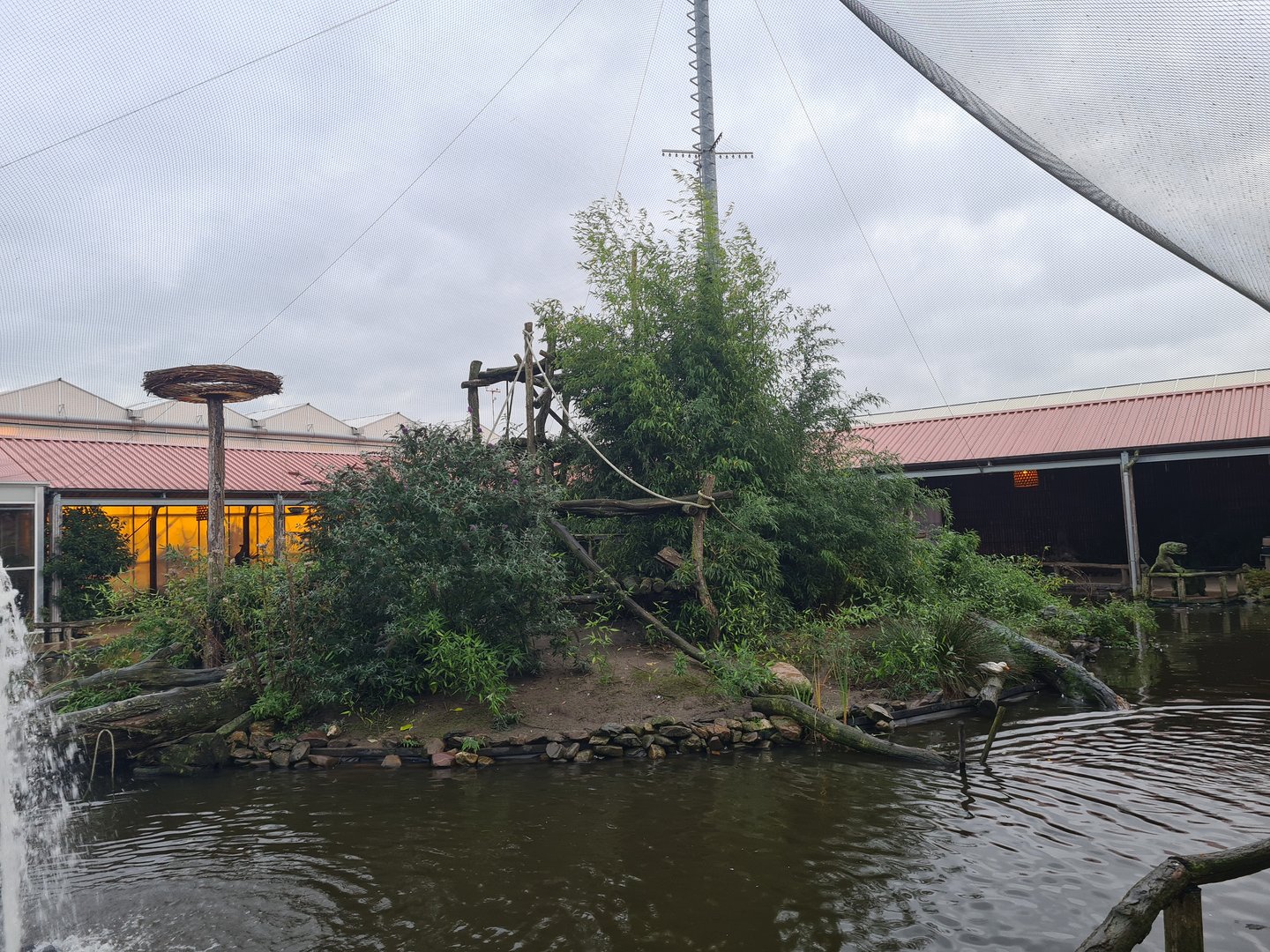 Main lemur island in Lemur kingdom