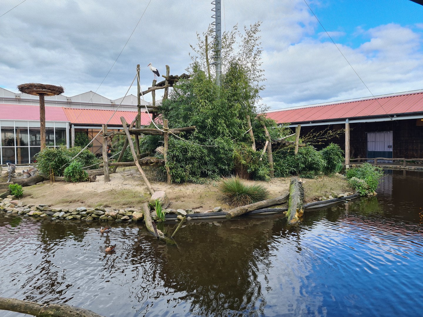 Main lemur island in Lemur kingdom