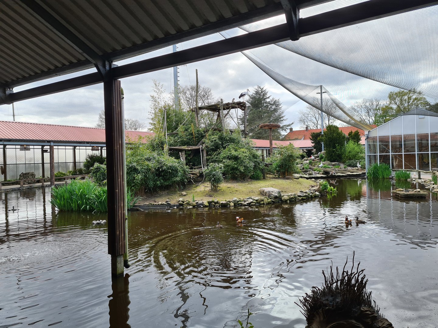 Main lemur islands in Lemur kingdom