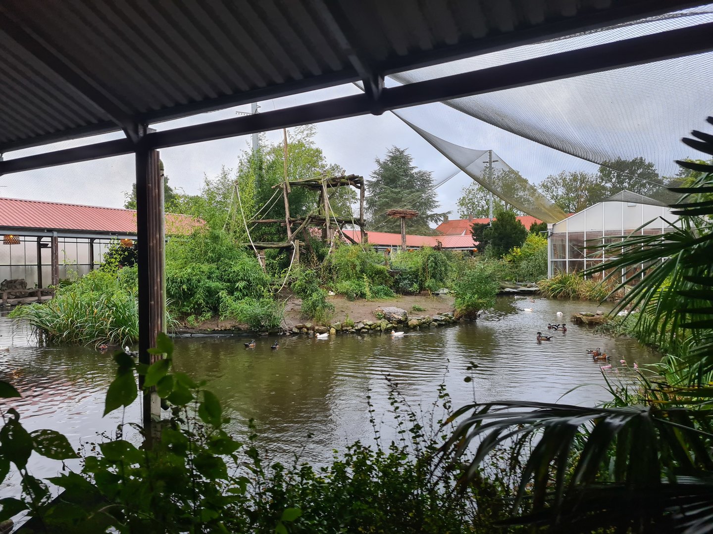 Main lemur islands in Lemur kingdom