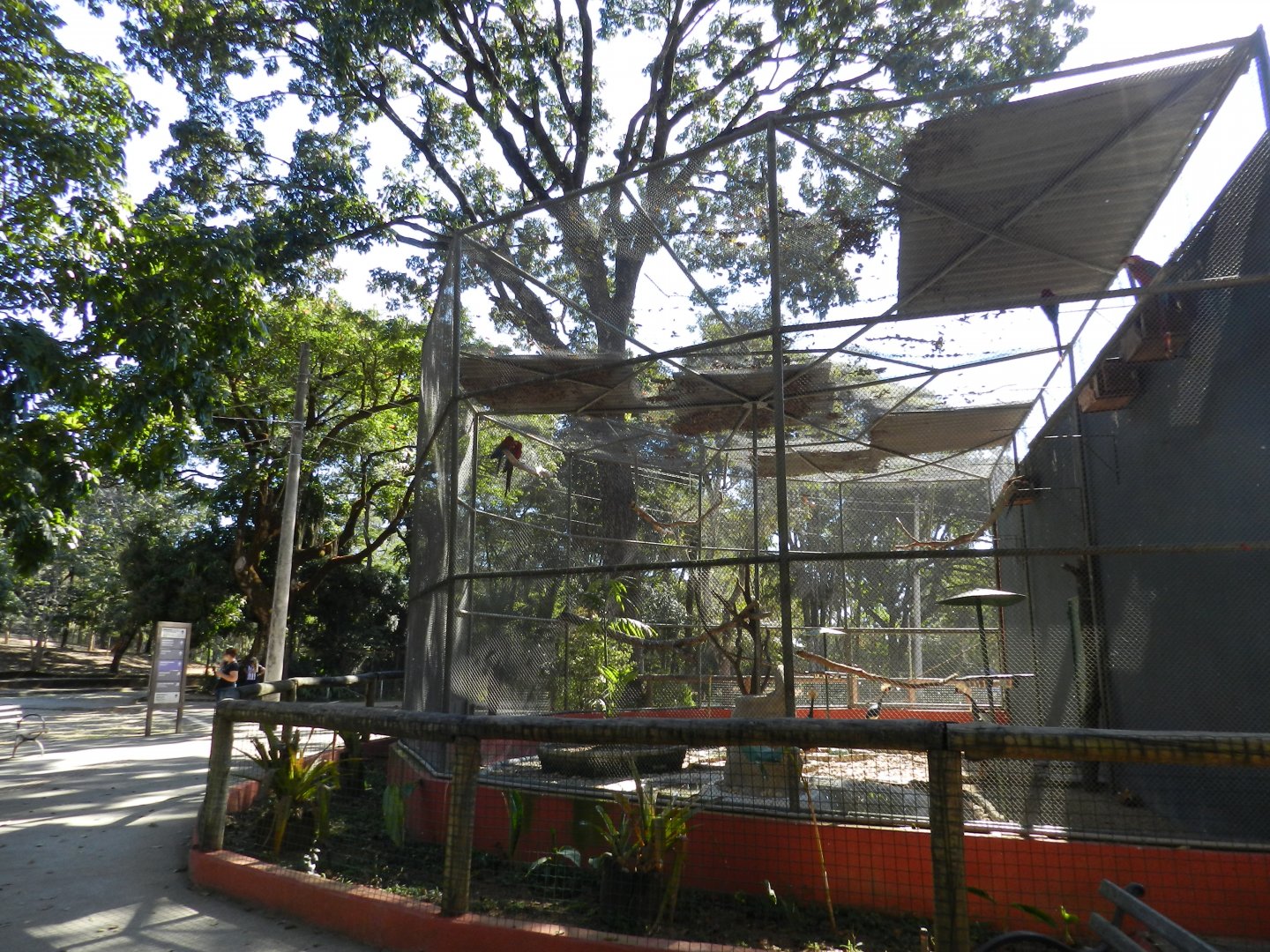 Main macaw aviary - Belo Horizonte zoo