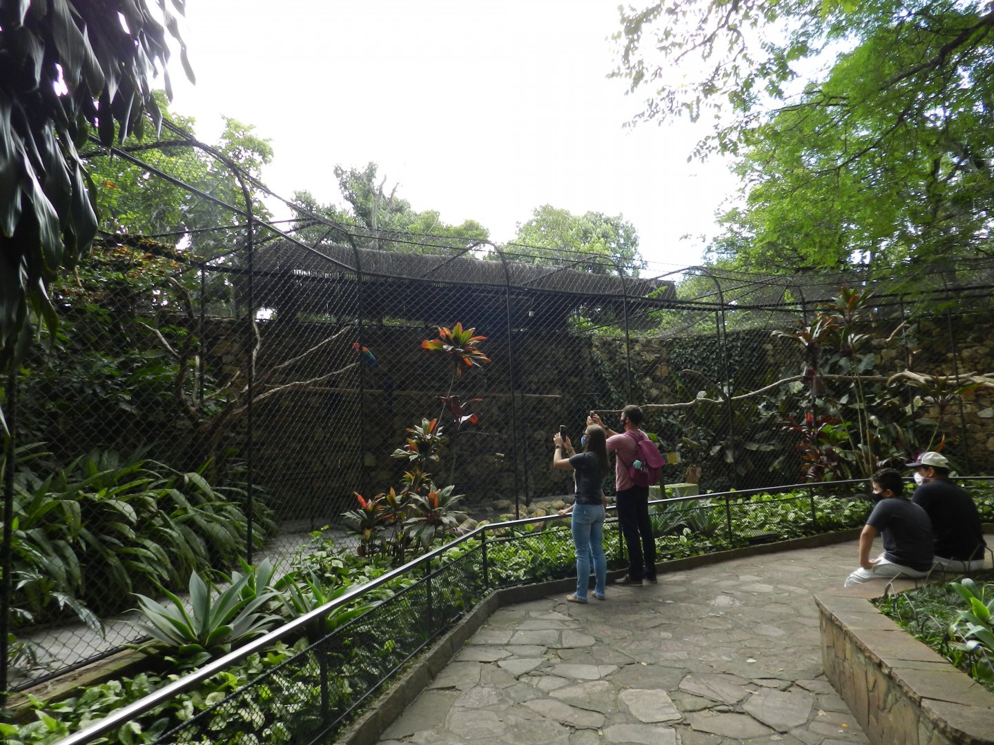 Main macaw aviary - Zoo São Paulo