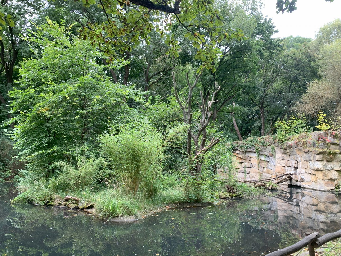 Main Mongoose Lemur enclosure
