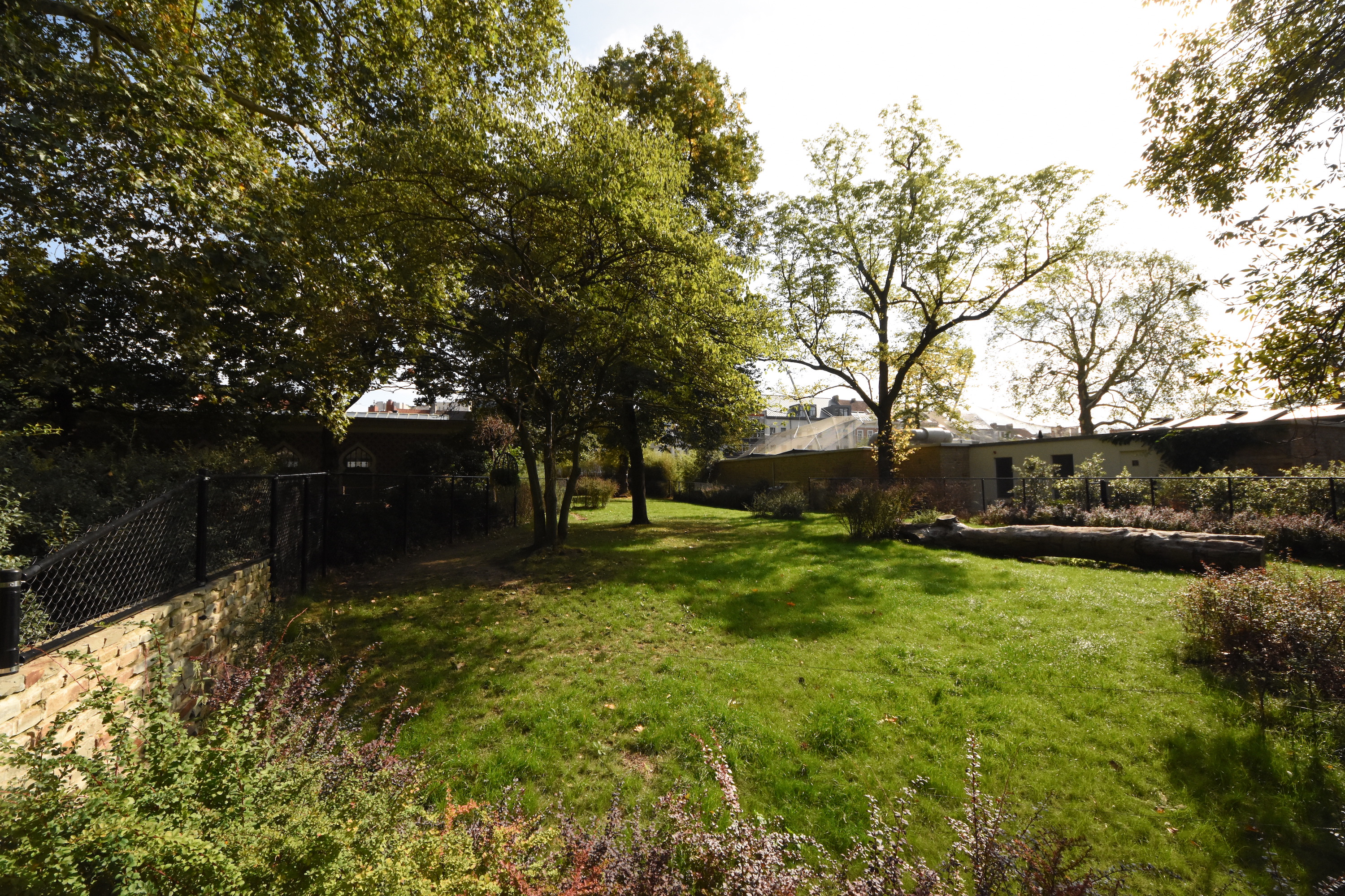 Main okapi enclosure