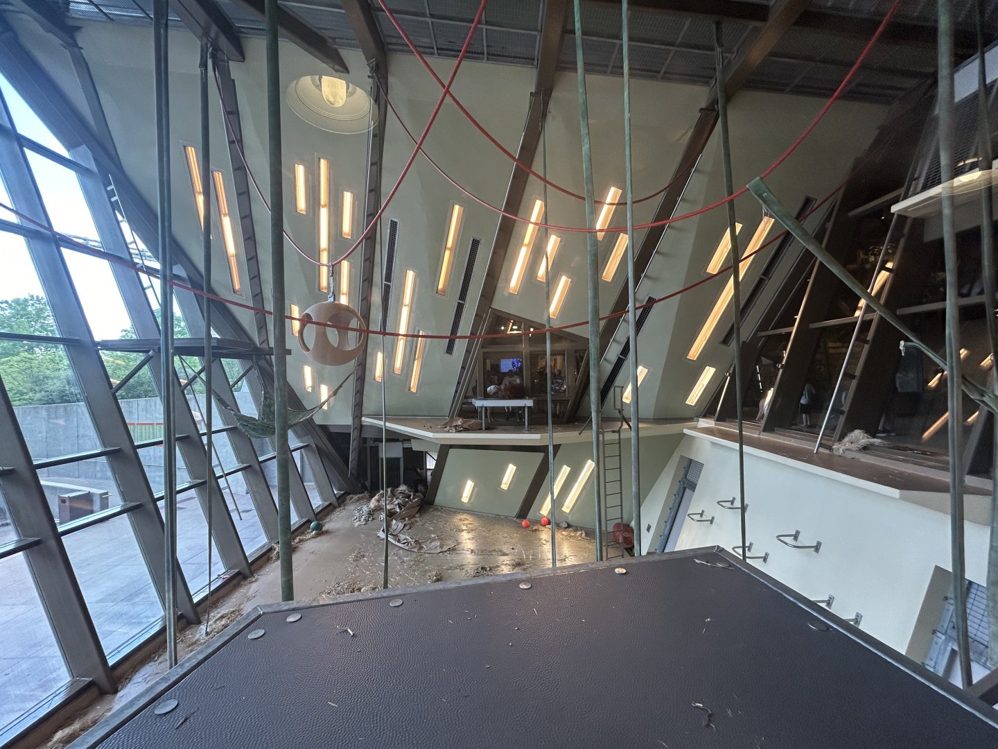 Main Orangutan Exhibit - International Orangutan Center