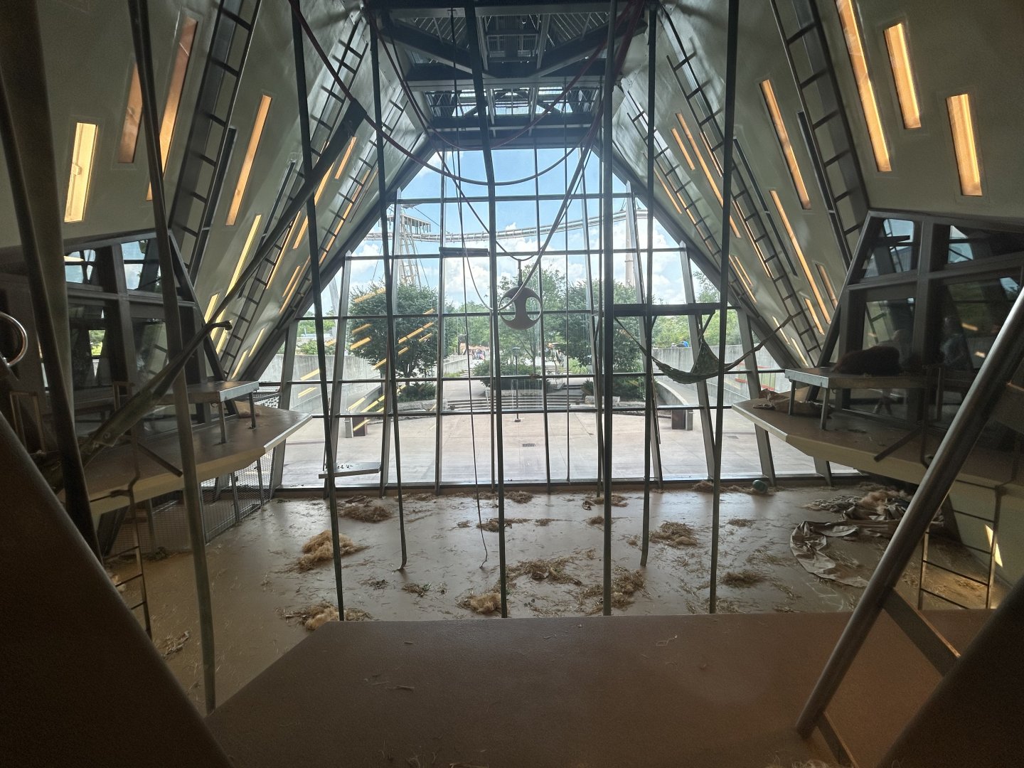 Main Orangutan Exhibit - International Orangutan Center