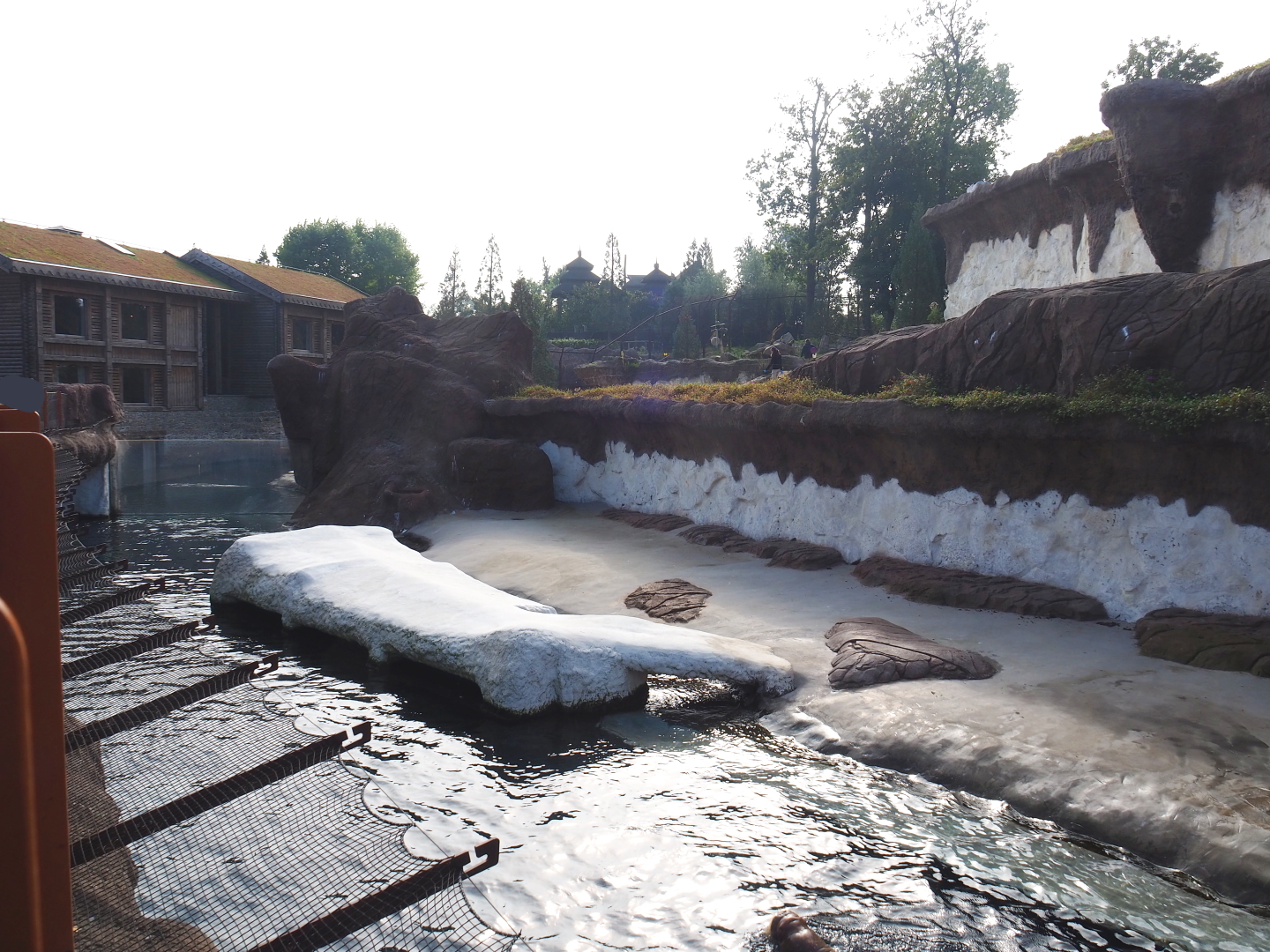 Main Pacific walrus exhibit, 2021-09-02