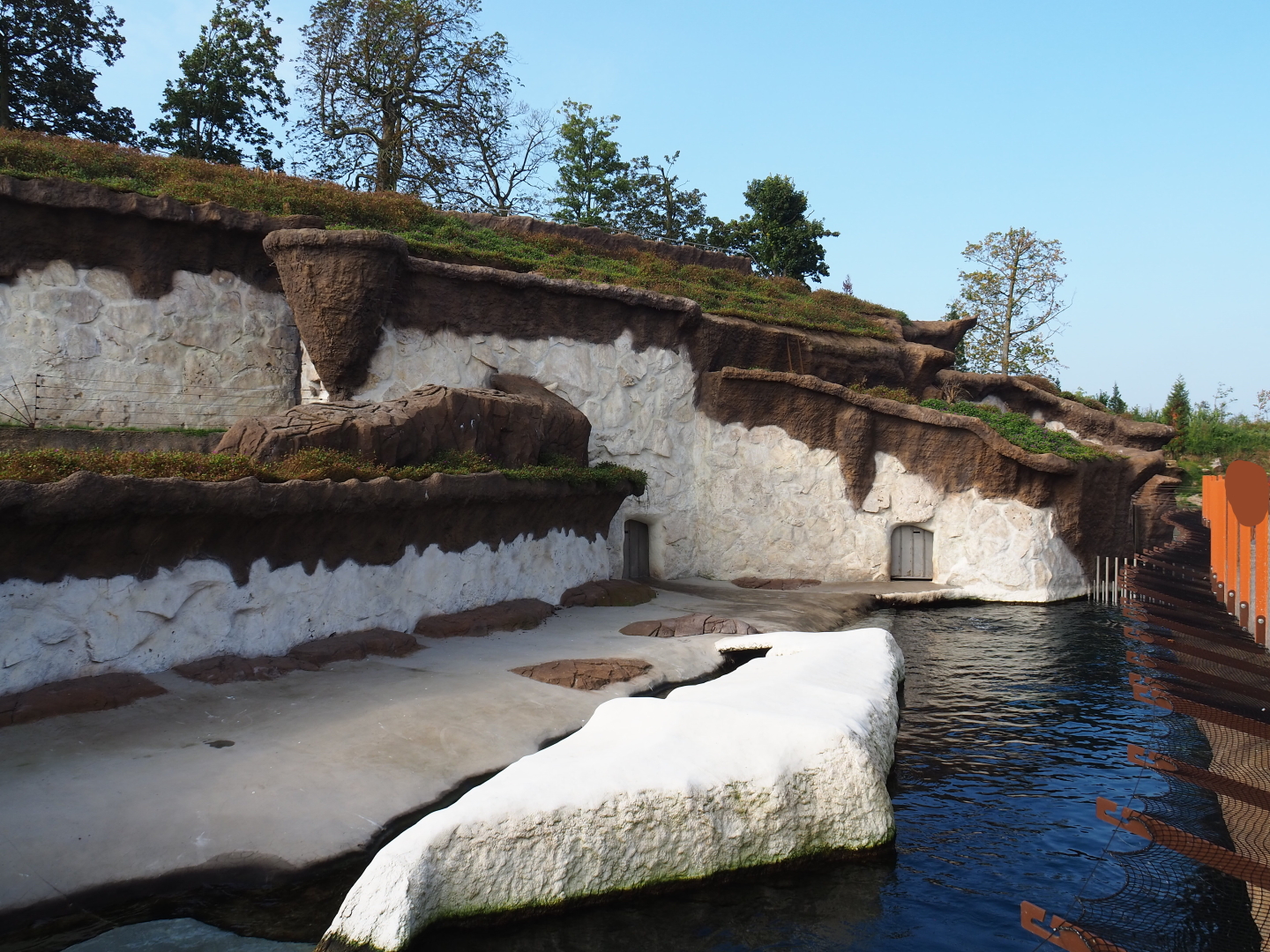 Main Pacific walrus exhibit, 2021-09-02