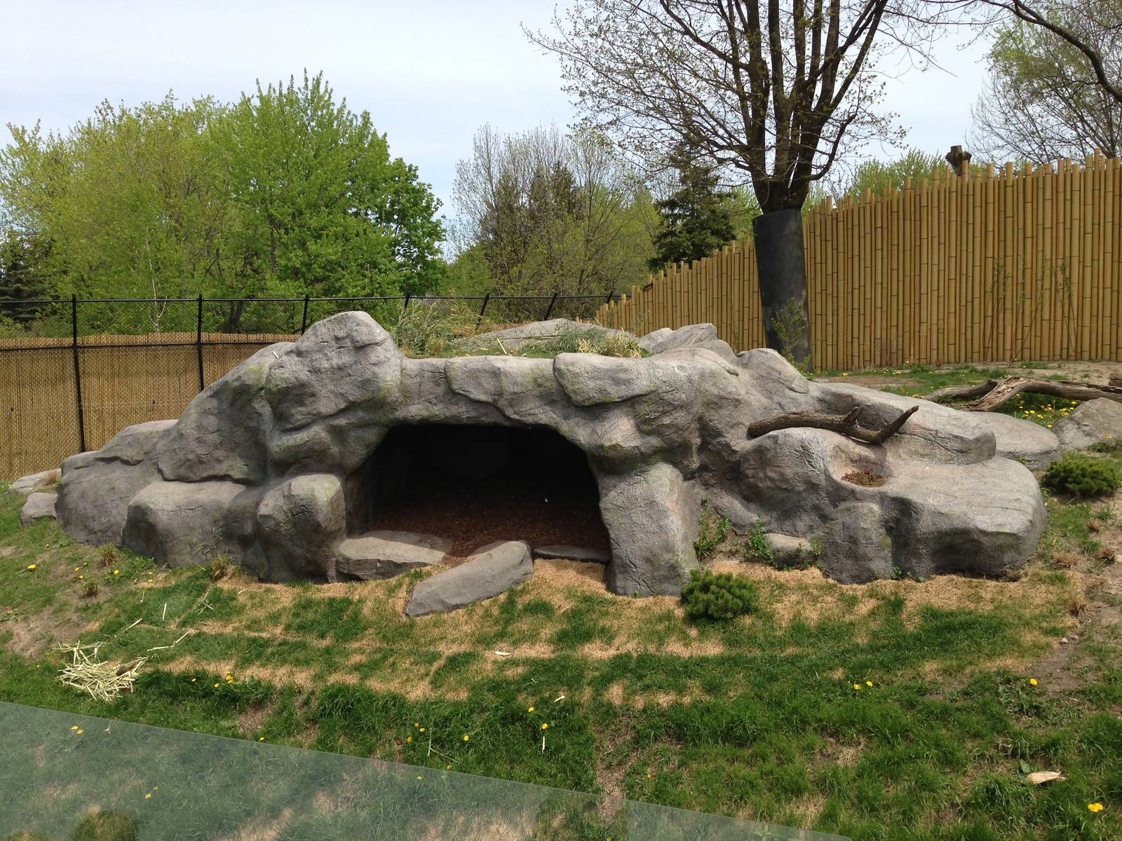 Main Panda Exhibit