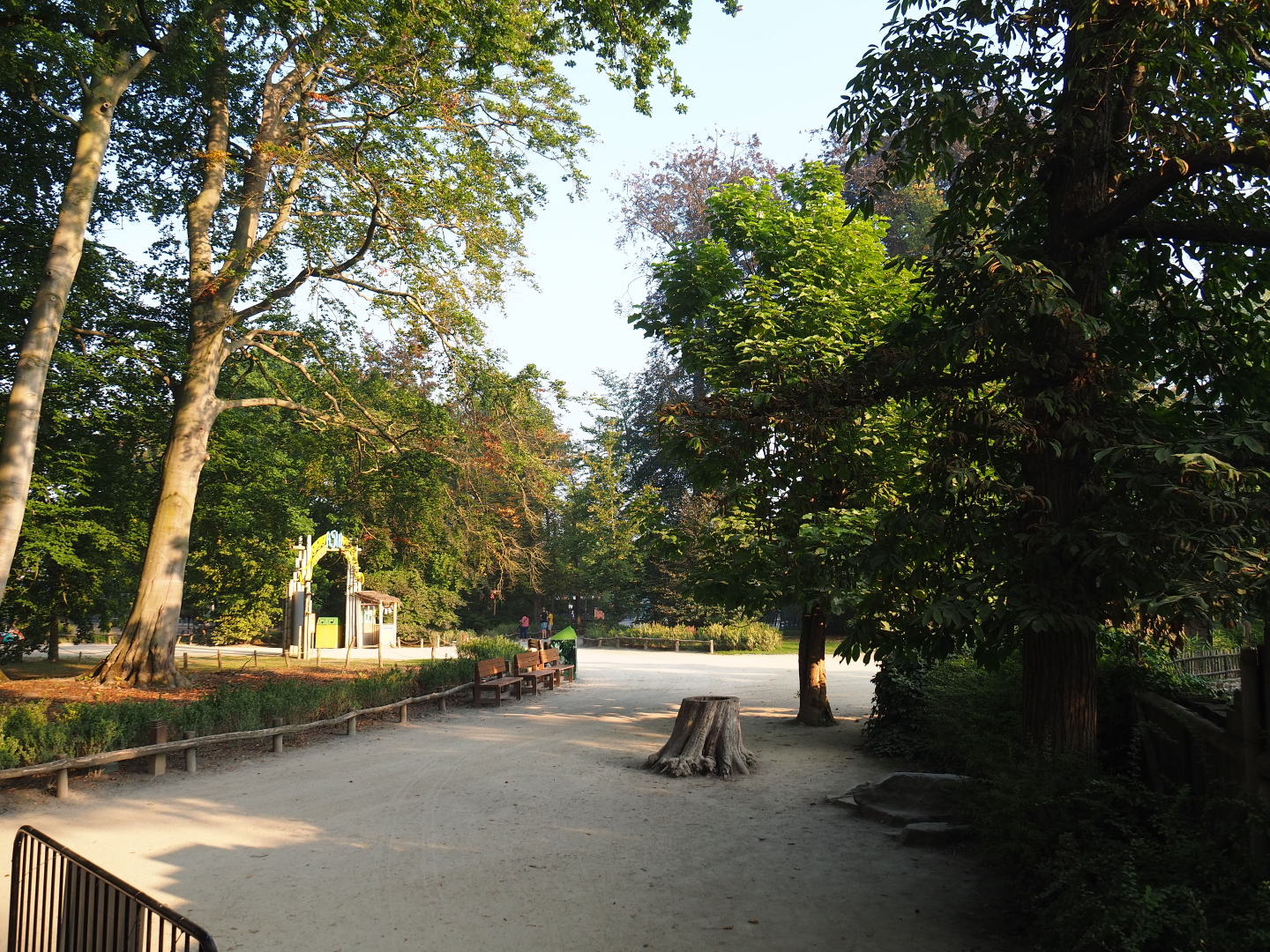 Main park road seen near the female Indian rhinoceros paddock, 2020-09-16