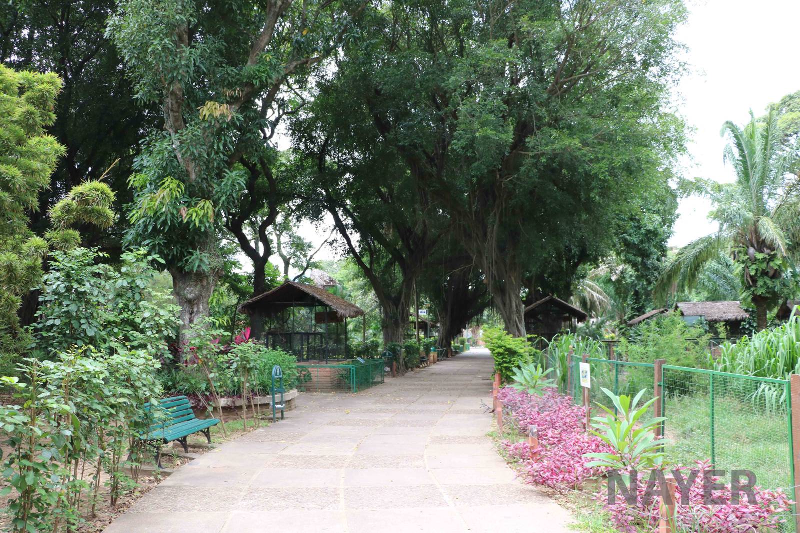 Main path, March 2016