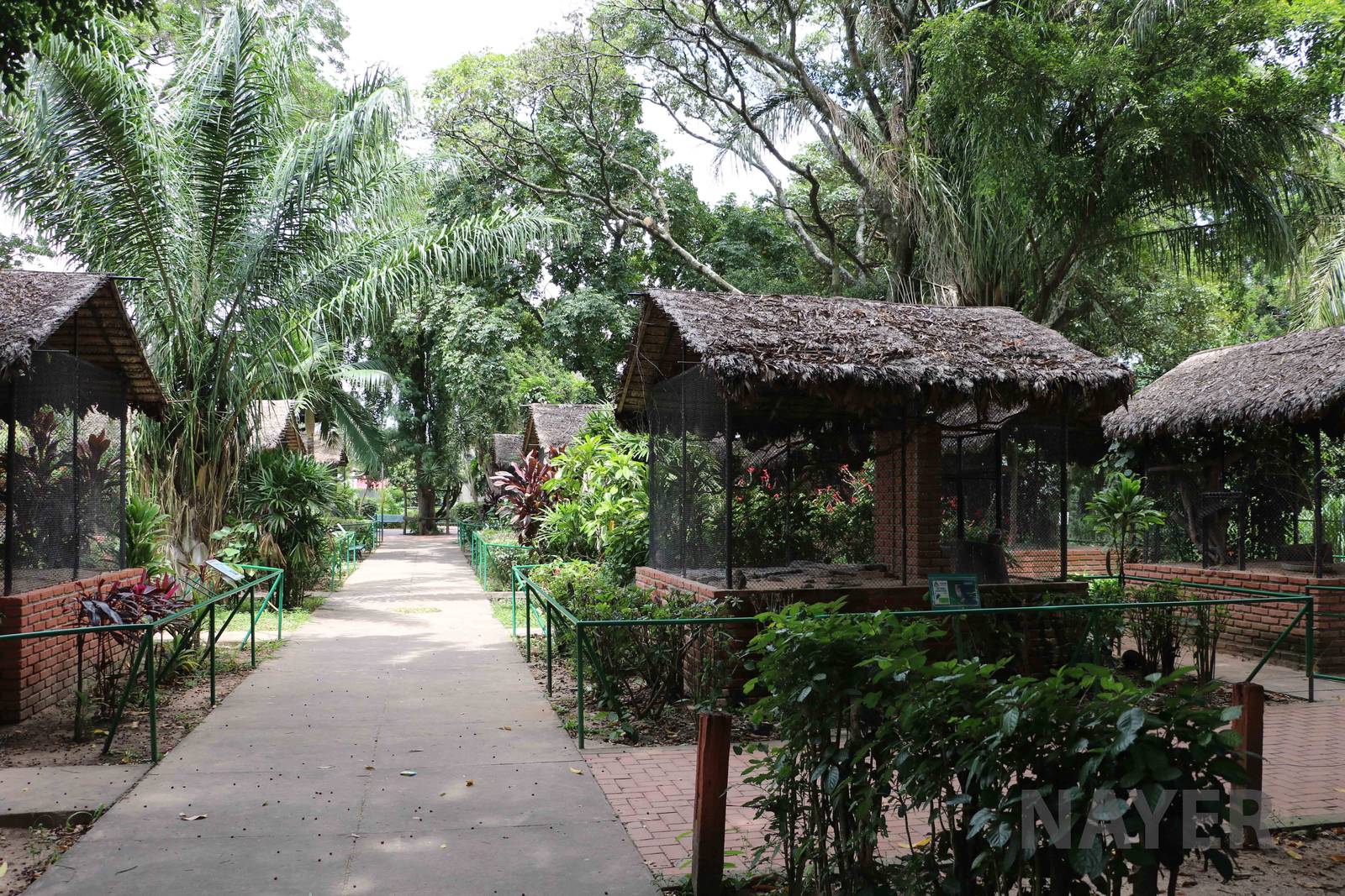 Main path, March 2016