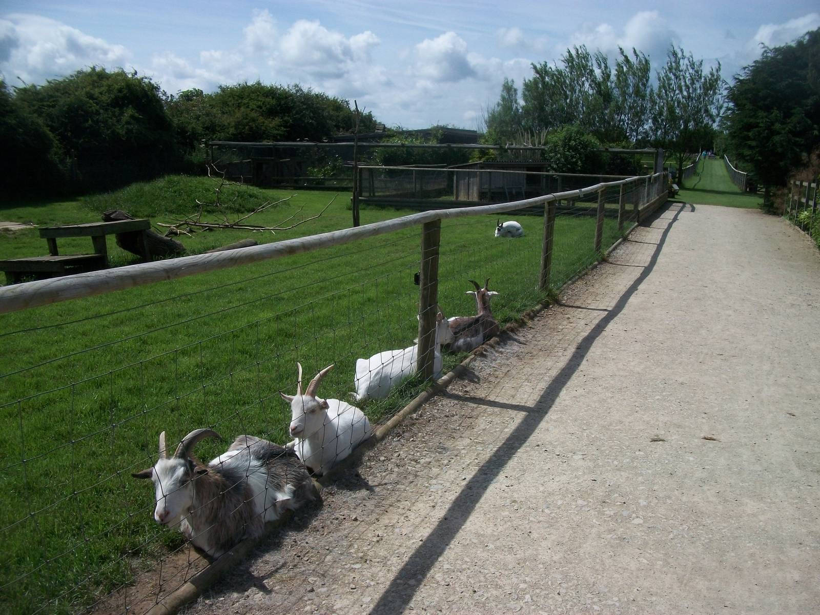 Main pathway, 19th June 2014