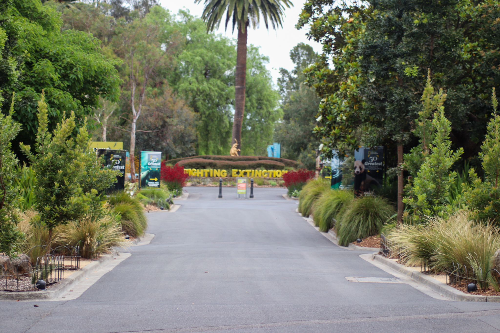 Main Pathway - December 2018