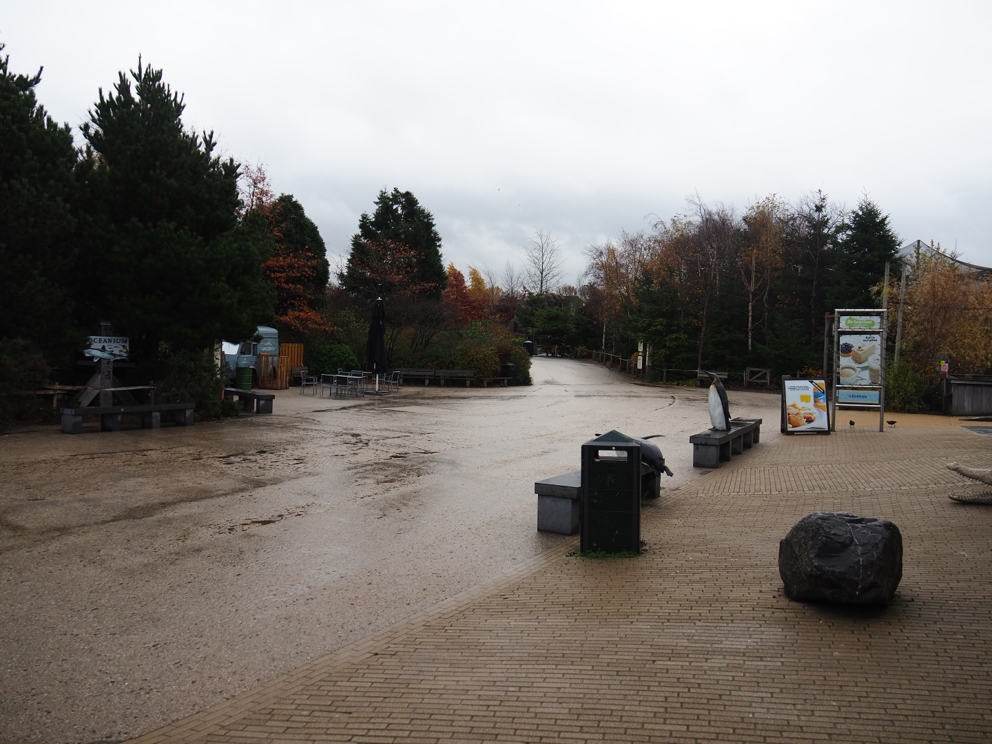 Main pathway near the gift shop (Nov 10th, 2018)