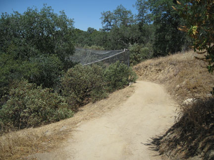 main pathway