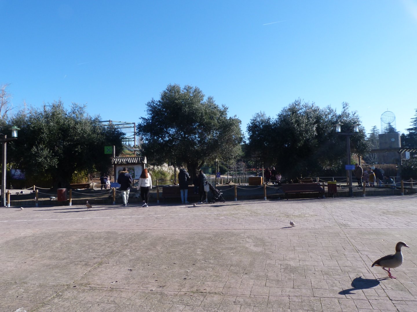 Main plaza view -Faunia (2025)