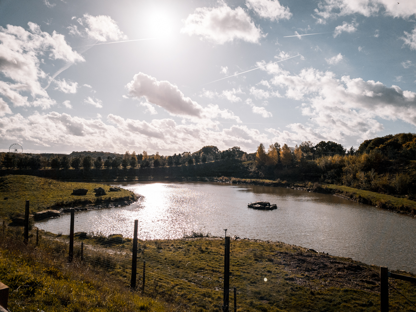 Main Polar Bear complex - Enclosure 2