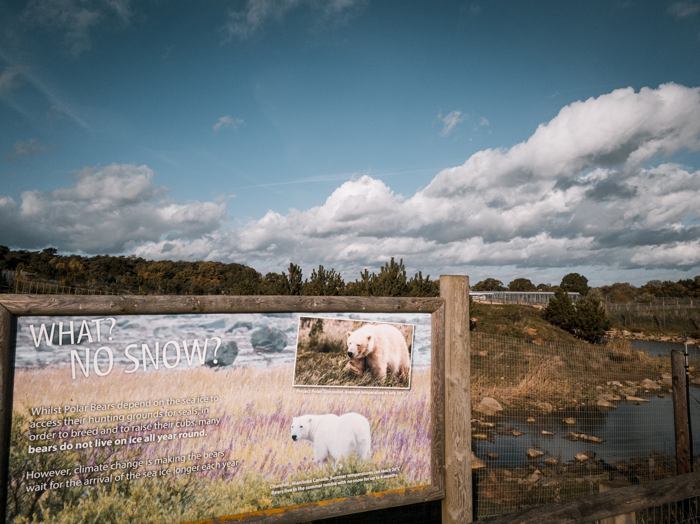 Main Polar Bear complex - Enclosure 3