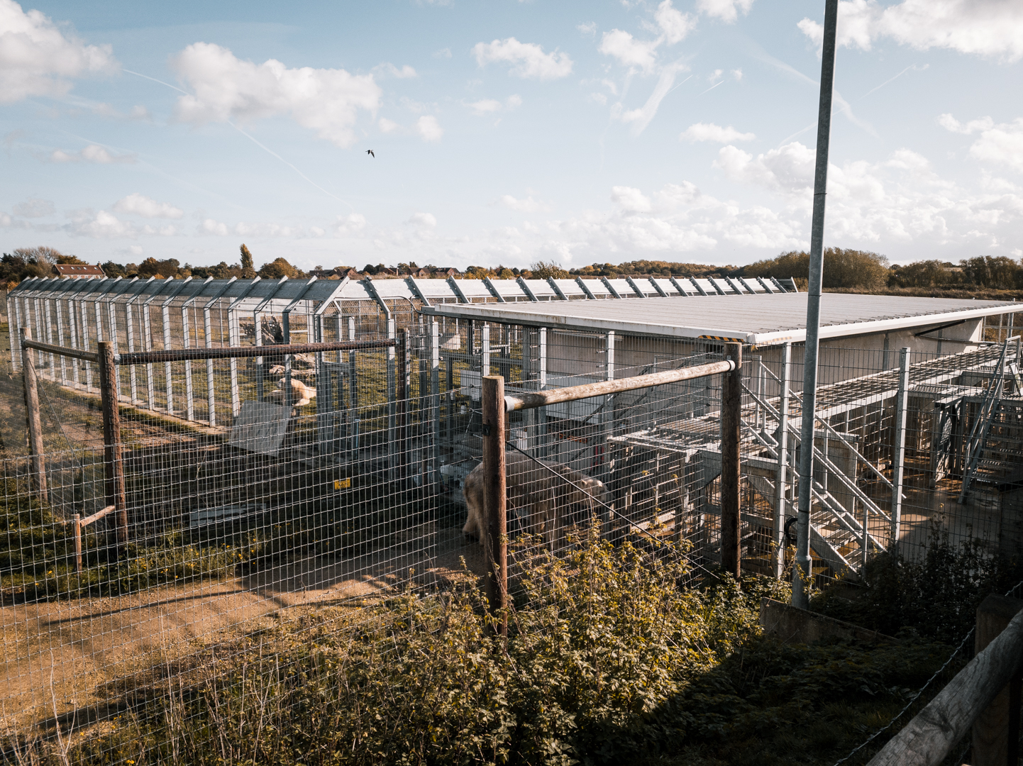 Main Polar Bear complex