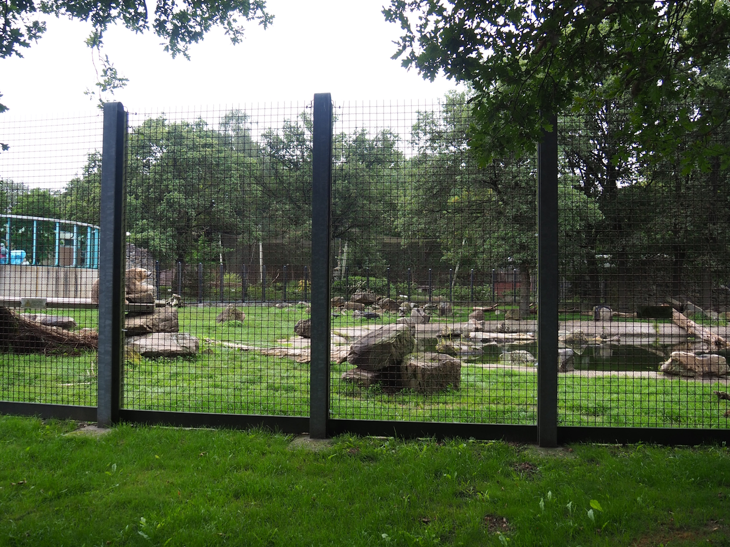 Main polar bear exhibit, 2023-08-17