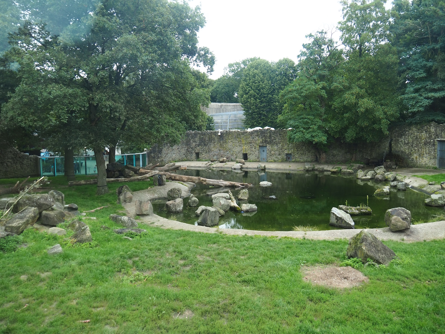 Main polar bear exhibit, 2023-08-17