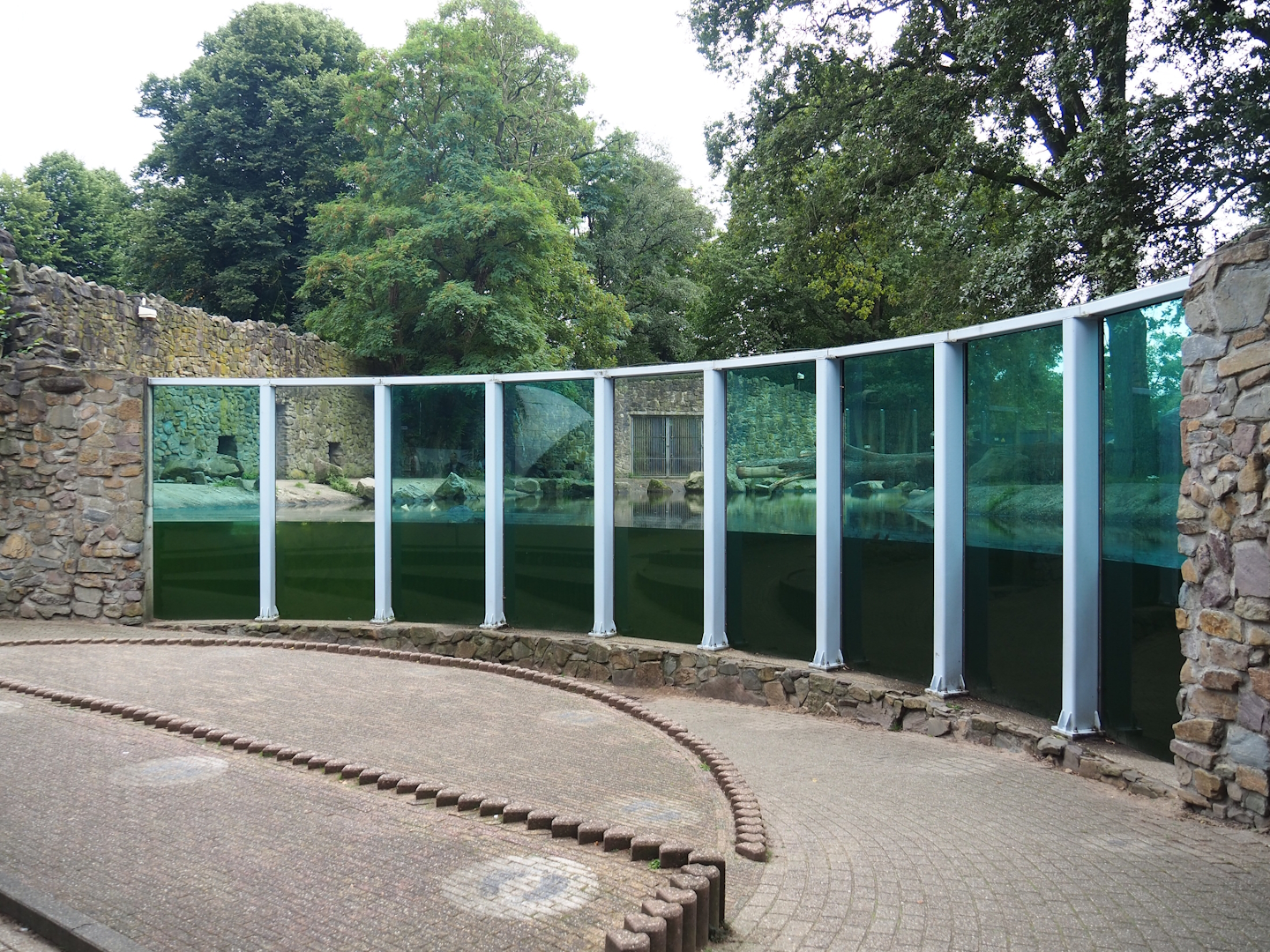 Main polar bear exhibit - Underwater viewing area, 2023-08-17