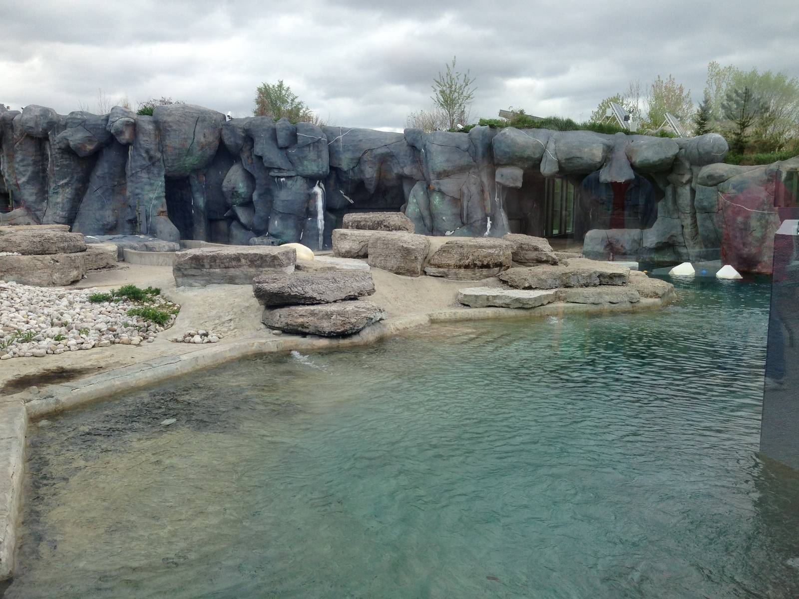 Main Polar Bear Exhibit