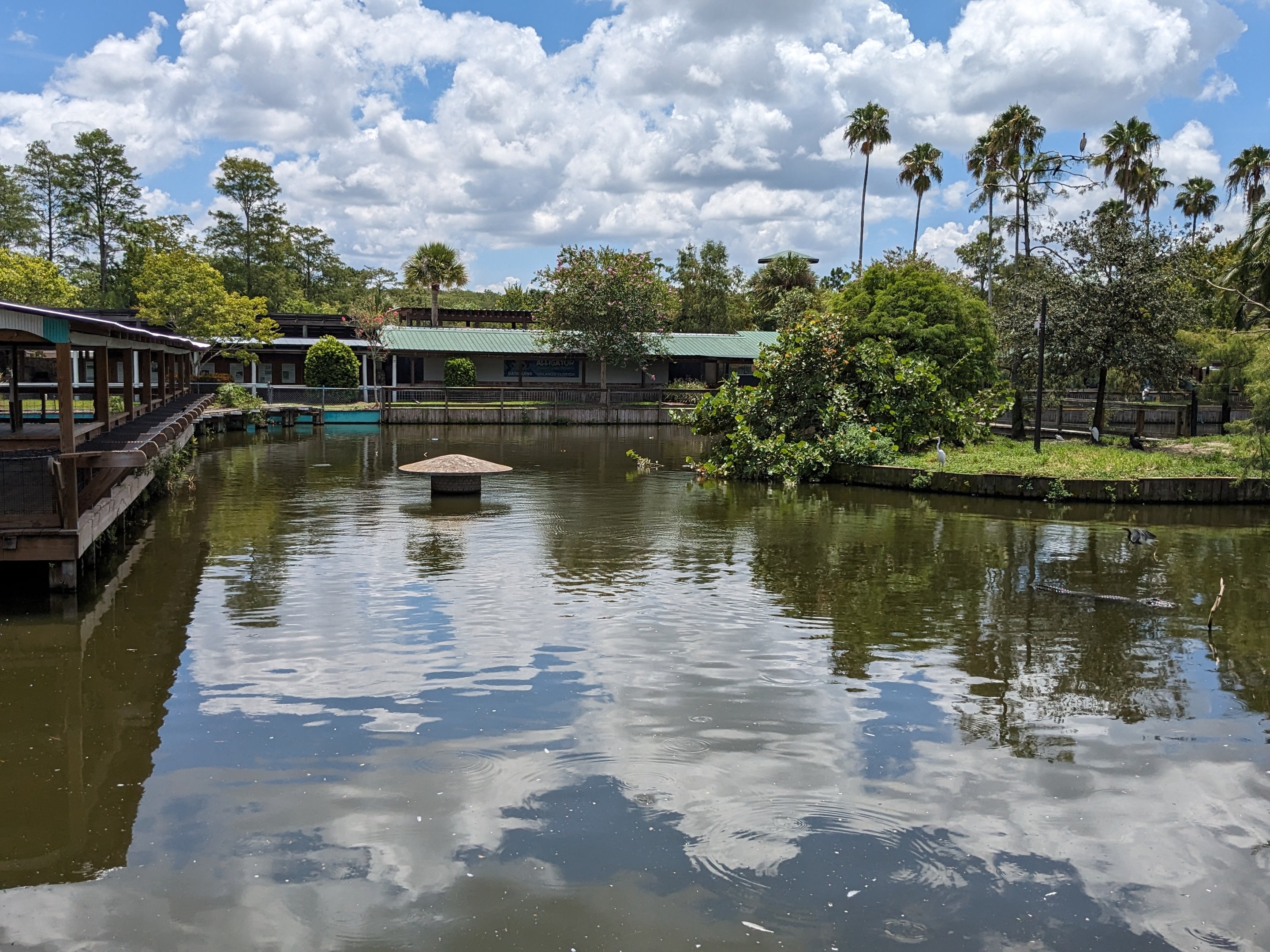 Main pond looking towards Swamp of the White Gators