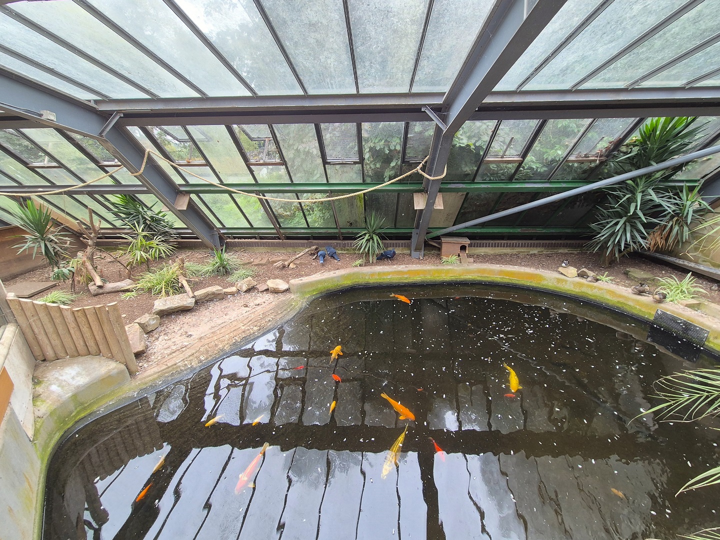 Main pool in walkthrough aviary