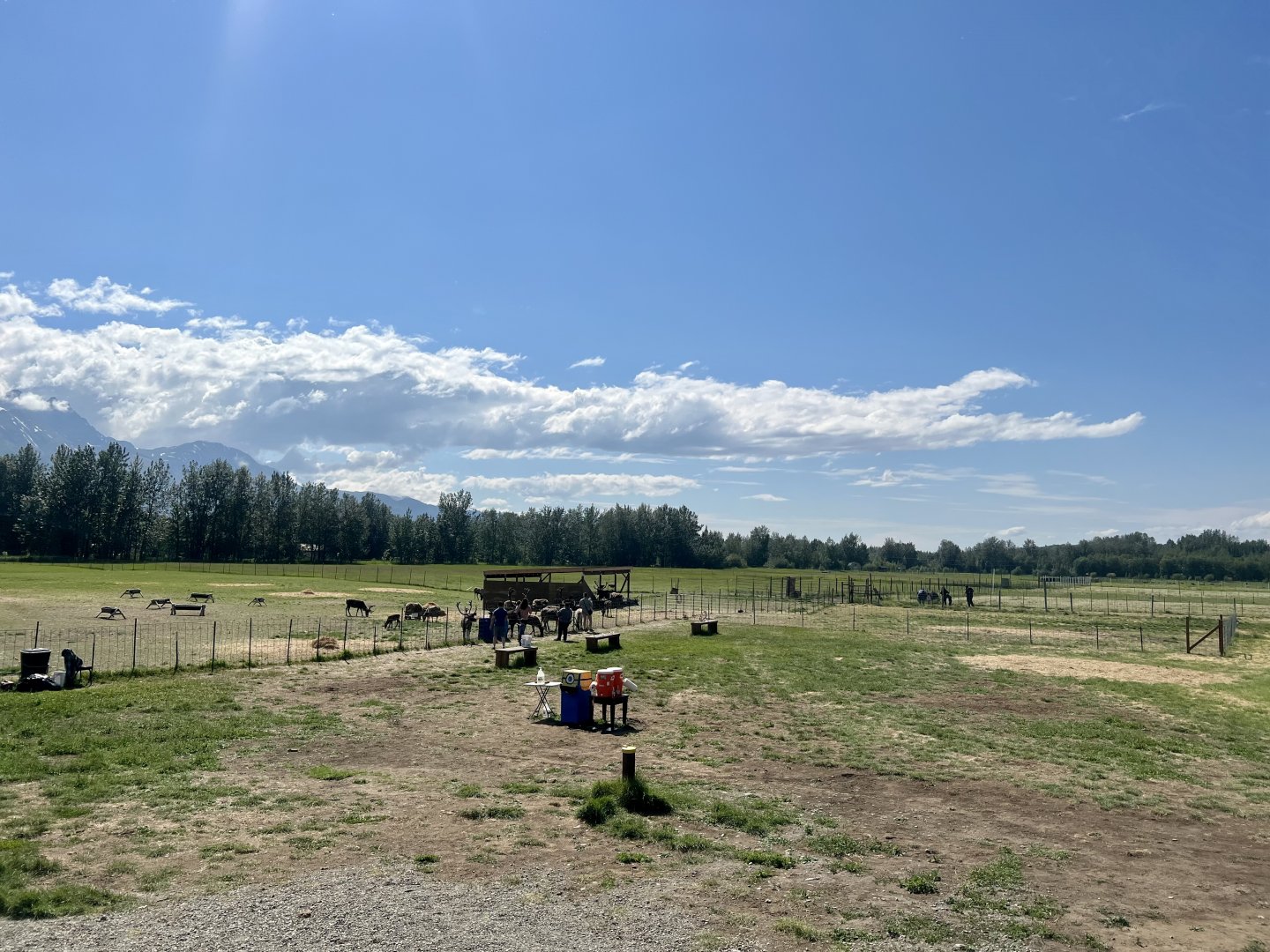 Main Reindeer Pasture