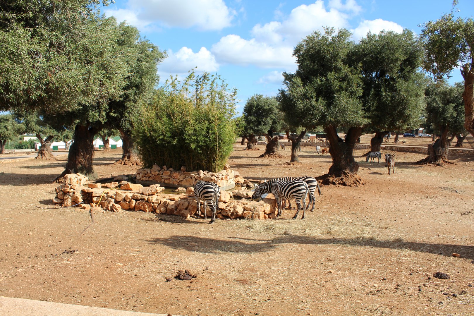 Main Reserve - Oct 2019