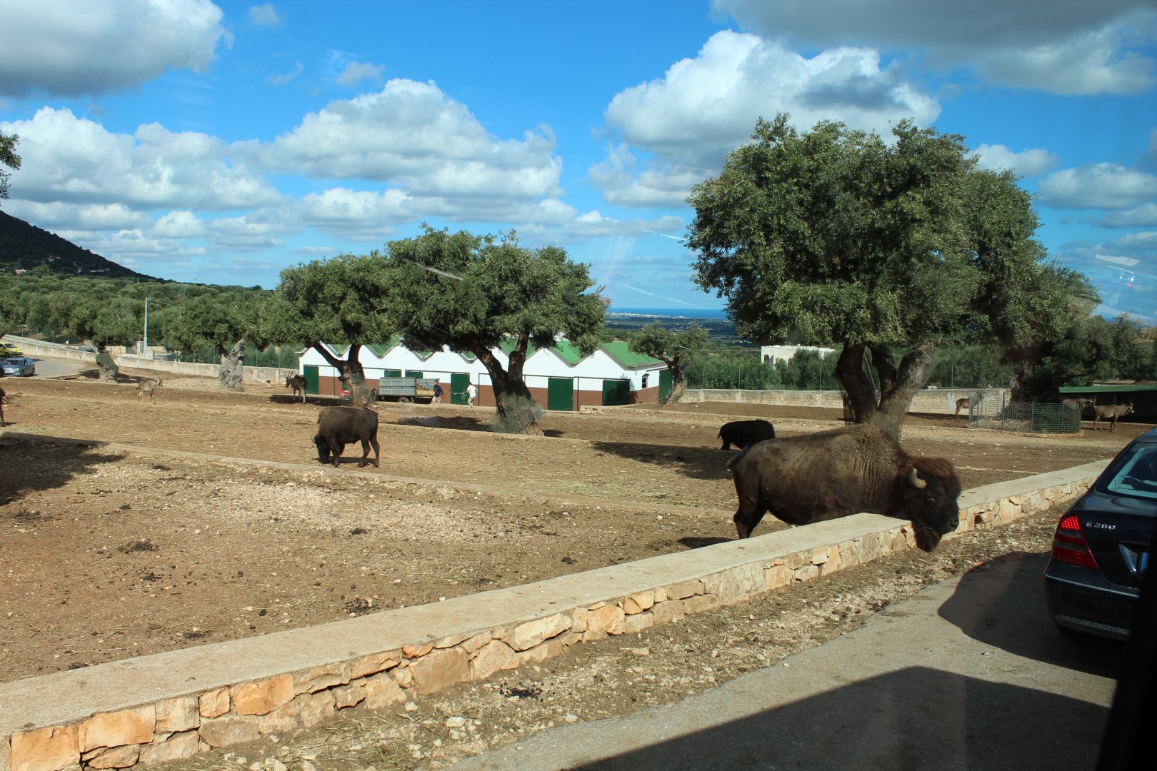 Main Reserve - Oct 2019