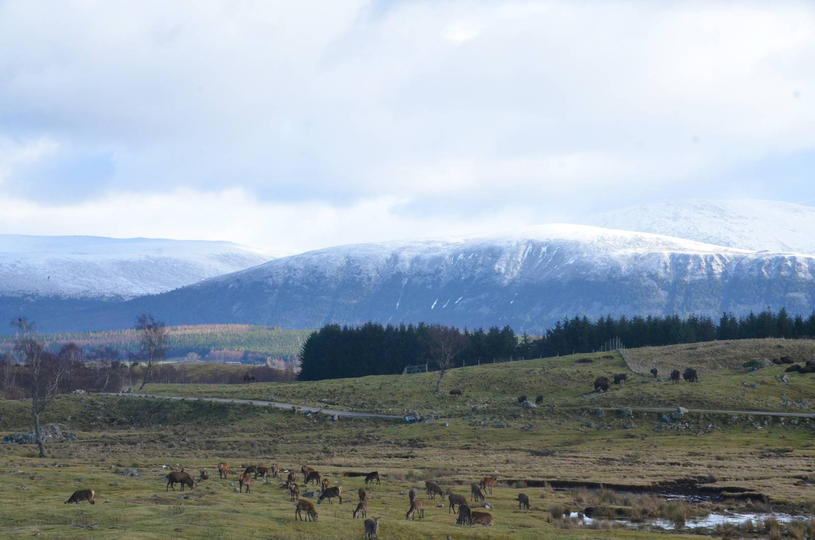 Main Reserve View at Highland WP, 10/02/16