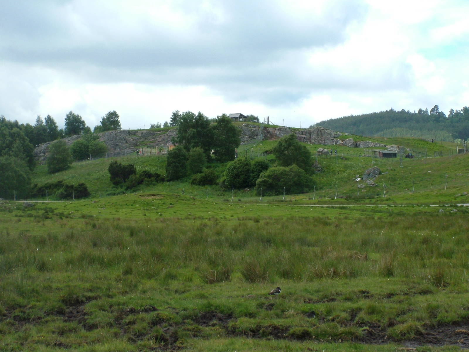 Main reserve, wolf and goat enclosures at Highland Wildlife Park 2008