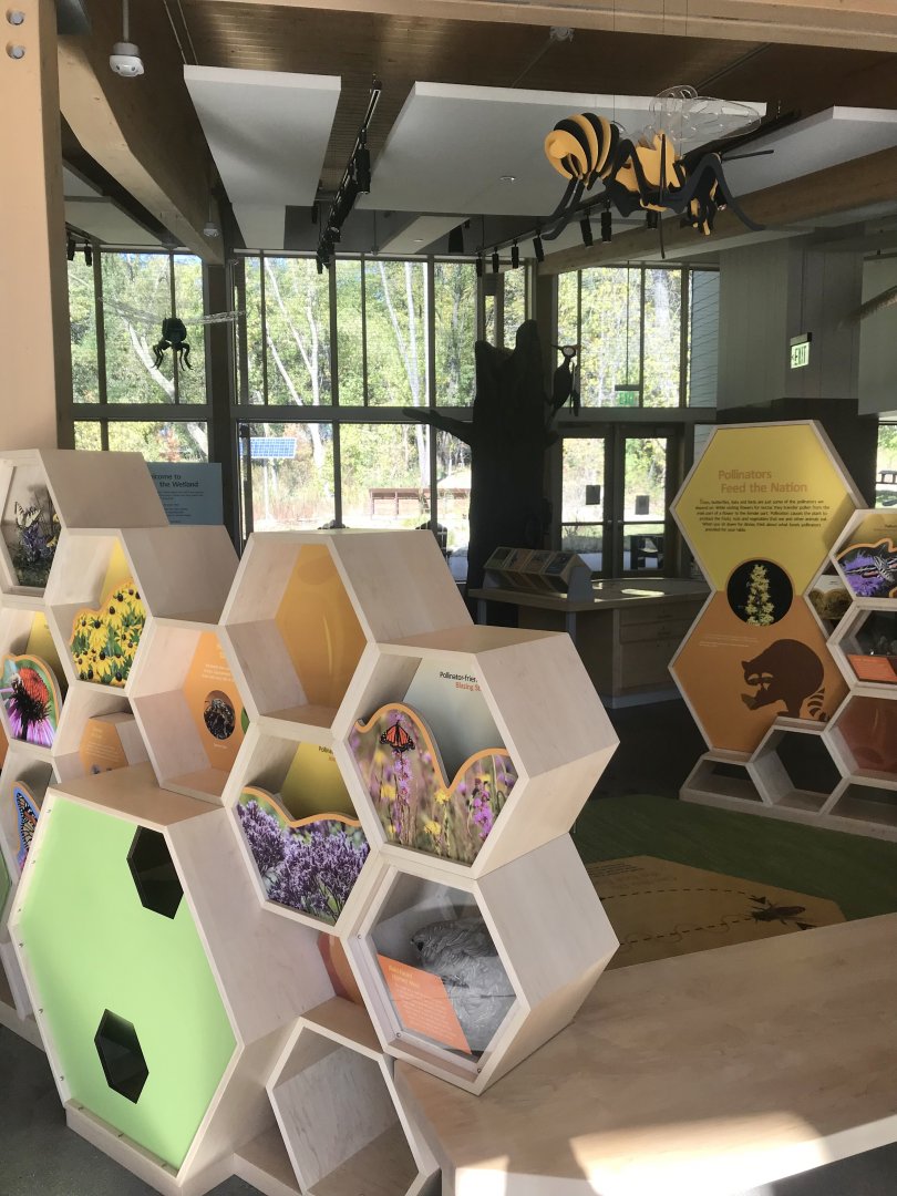 Main Room - Honeycomb Display